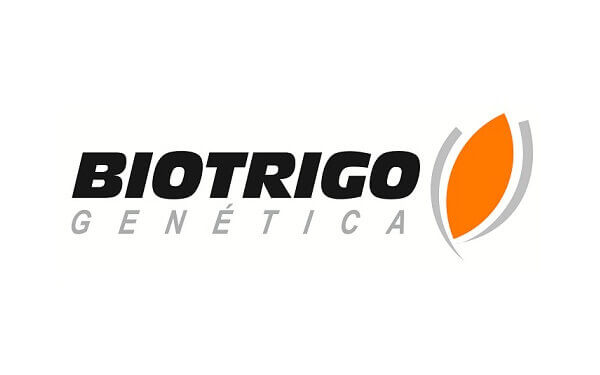 05-sementes-batavo-biotrigo