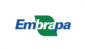 Sementes-batavo-embrapa